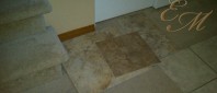 tile samples