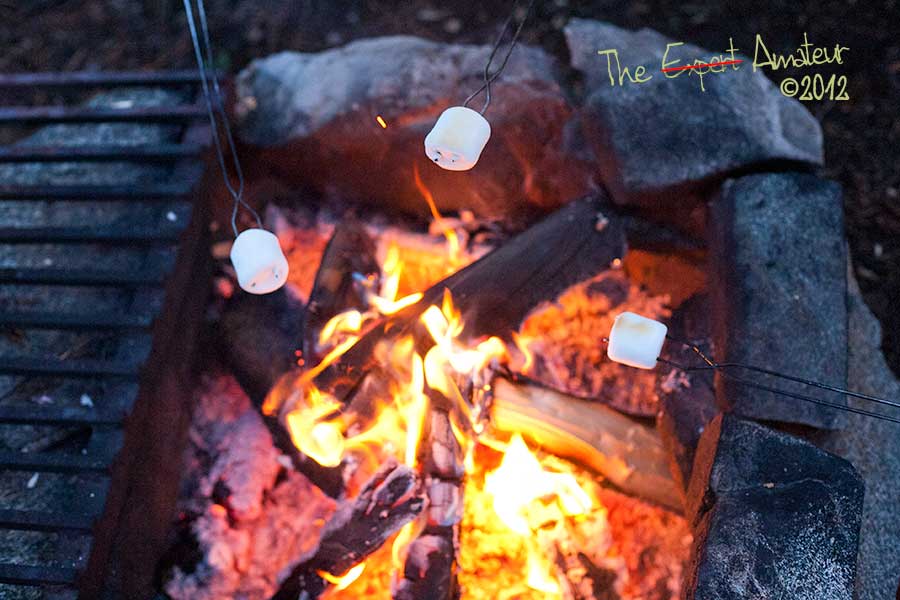 campfire s'mores recipes
